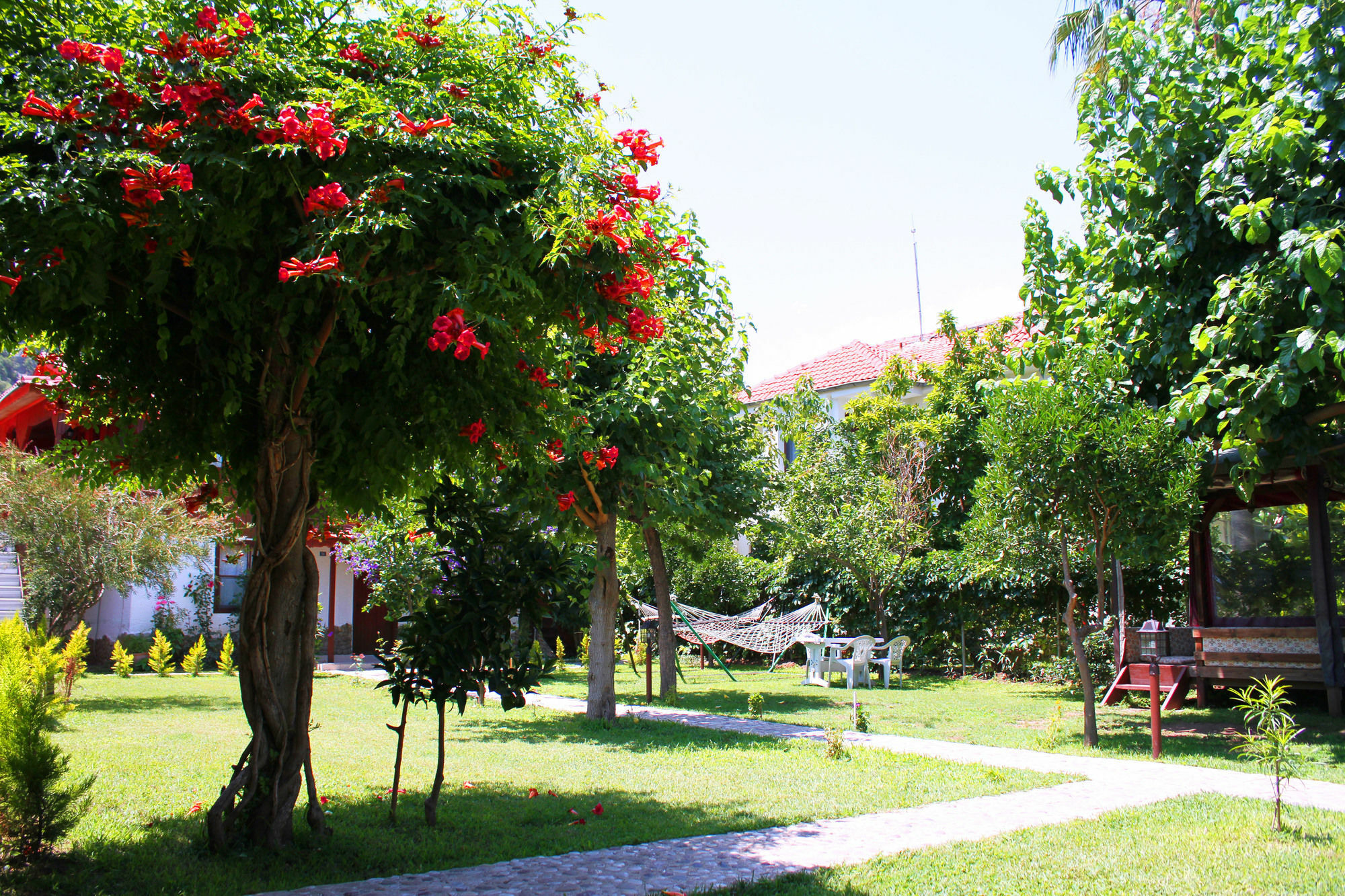 Alican Pension Çıralı Ngoại thất bức ảnh